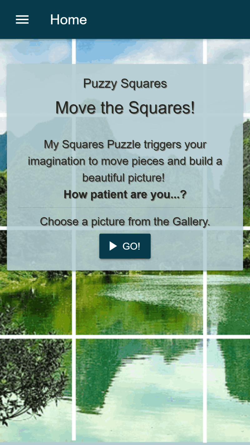 PuzzyHome